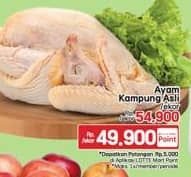 Promo Harga Ayam Kampung 500 gr - LotteMart