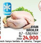 Promo Harga Ayam Broiler  - LotteMart