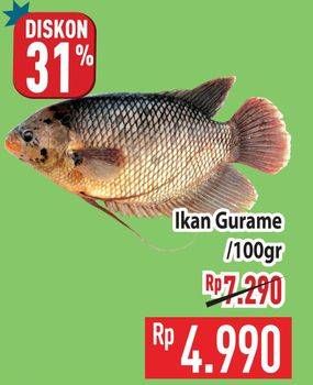 Promo Harga Ikan Gurame per 100 gr - Hypermart