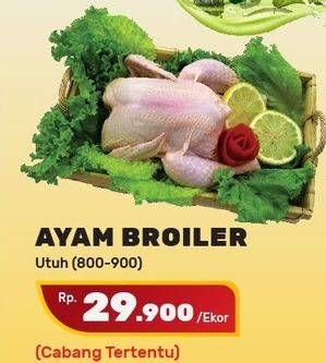 Promo Harga Ayam Broiler 800 gr - Yogya