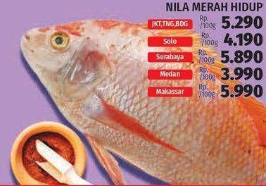 Promo Harga Ikan Nila Merah Hidup per 100 gr - LotteMart