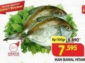 Promo Harga Ikan Bawal Hitam per 100 gr - Superindo