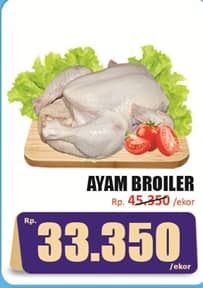 Promo Harga Ayam Broiler 500 gr - Hari Hari