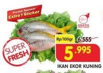 Promo Harga Ikan Ekor Kuning per 100 gr - Superindo