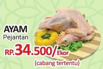 Promo Harga Ayam Pejantan 500 gr - Yogya