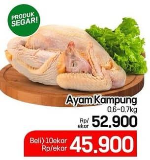 Ayam Kampung
