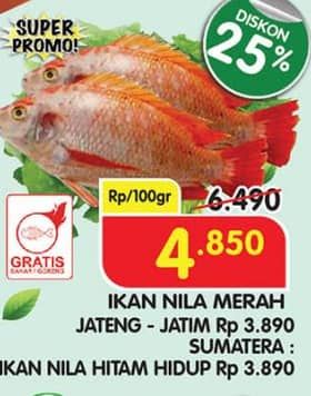 Promo Harga Ikan Nila Merah per 100 gr - Superindo