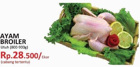 Promo Harga Ayam Broiler  - Yogya