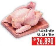 Promo Harga Ayam Broiler  - Hypermart