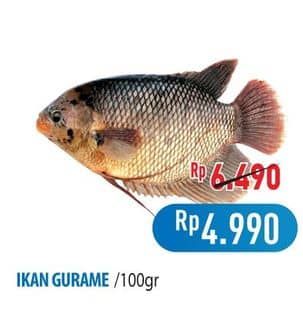 Promo Harga Ikan Gurame per 100 gr - Hypermart