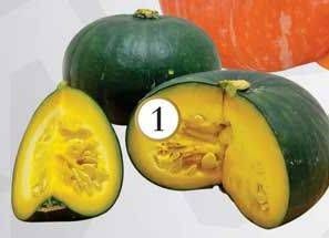 Promo Harga Kabocha Labu Hijau per 100 gr - Yogya