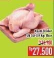 Promo Harga Ayam Broiler  - Hypermart