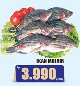 Promo Harga Ikan Mujair per 100 gr - Hari Hari