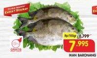 Promo Harga Ikan Baronang per 100 gr - Superindo