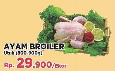 Promo Harga Ayam Broiler  - Yogya