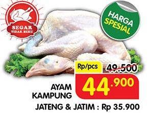 Promo Harga Ayam Kampung  - Superindo