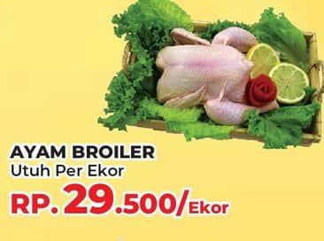 Promo Harga Ayam Broiler 800 gr - Yogya