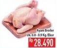 Promo Harga Ayam Broiler  - Hypermart