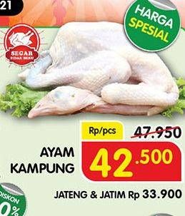 Promo Harga Ayam Kampung  - Superindo