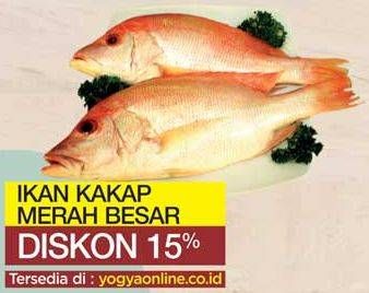 Promo Harga Ikan Kakap Merah Besar per 100 gr - Yogya