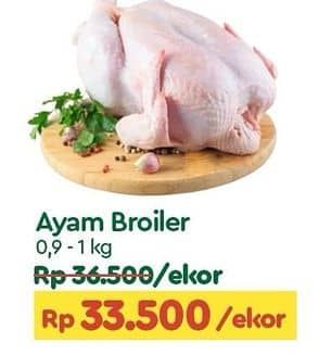 Promo Harga Ayam Broiler  - TIP TOP