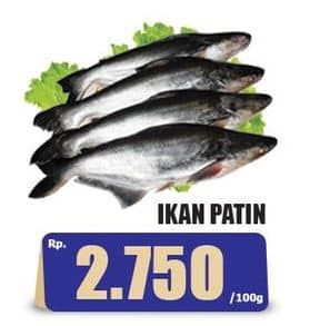 Promo Harga Ikan Patin per 100 gr - Hari Hari