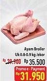 Promo Harga Ayam Broiler 800 gr - Hypermart