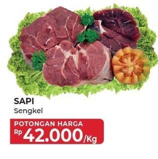 Promo Harga Daging Sengkel (Shankle)  - Yogya