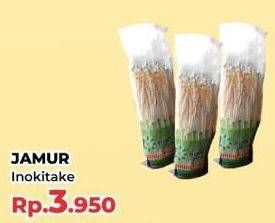 Promo Harga Jamur Inokitake (Jamur Enokitake)  - Yogya