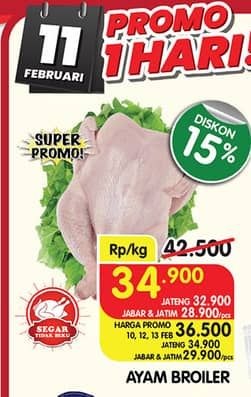 Ayam Broiler