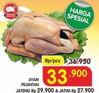 Promo Harga Ayam Pejantan  - Superindo