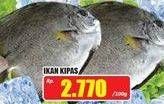 Promo Harga Ikan Kipas per 100 gr - Hari Hari