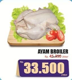 Ayam Broiler