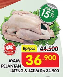 Promo Harga Ayam Pejantan 500 gr - Superindo