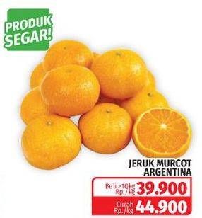 Promo Harga Jeruk Murcot Argentina  - Lotte Grosir