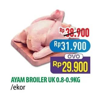 Promo Harga Ayam Broiler 800 gr - Hypermart