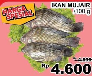 Promo Harga Ikan Mujair per 100 gr - Giant