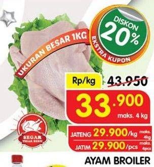 Promo Harga Ayam Broiler  - Superindo