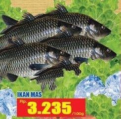Promo Harga Ikan Mas per 100 gr - Hari Hari