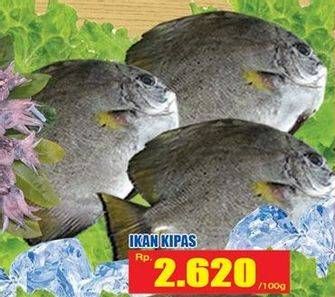 Promo Harga Ikan Kipas per 100 gr - Hari Hari