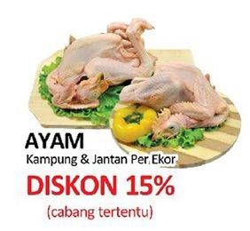 Promo Harga Ayam Kampung / Pejantan  - Yogya
