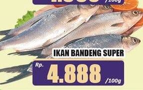 Promo Harga Ikan Bandeng Super per 100 gr - Hari Hari