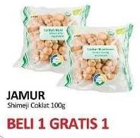 Promo Harga Jamur Shimeji Cokelat 100 gr - Yogya