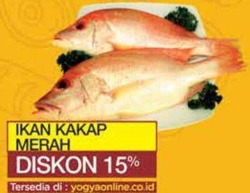 Promo Harga Ikan kakap merah  - Yogya