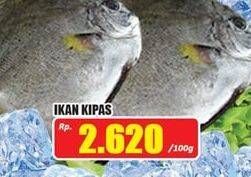 Promo Harga Ikan Kipas per 100 gr - Hari Hari