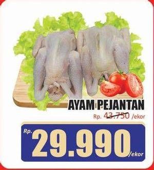 Promo Harga Ayam Pejantan 500 gr - Hari Hari