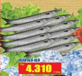 Promo Harga Ikan Alu Alu per 100 gr - Hari Hari