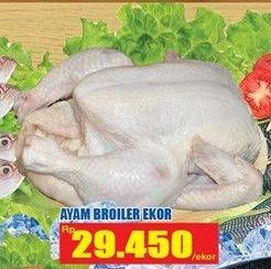 Promo Harga Ayam Broiler  - Hari Hari