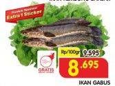 Promo Harga Ikan Gabus per 100 gr - Superindo