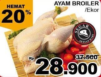 Promo Harga Ayam Broiler  - Giant